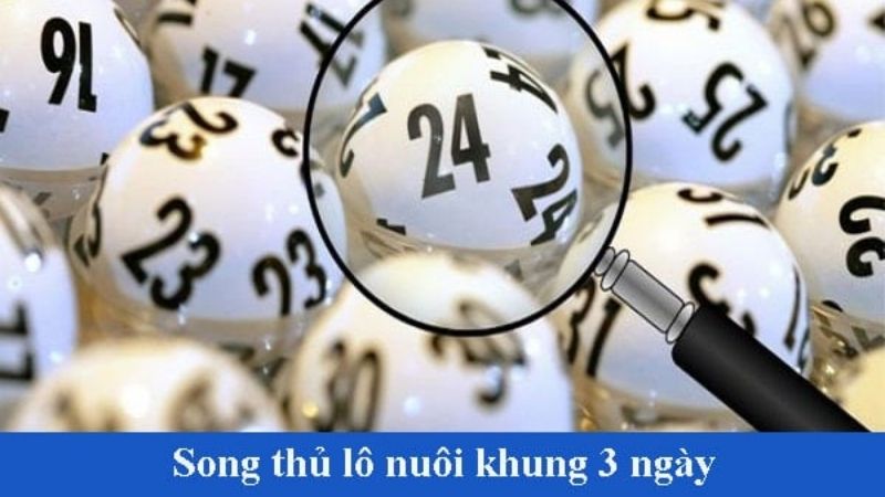 Cách song thủ lô nuôi khung 3 ngày