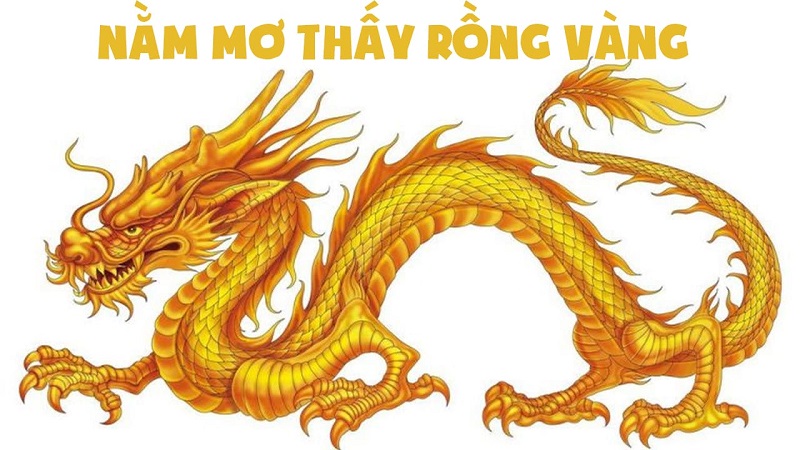 mơ thấy rồng vàng